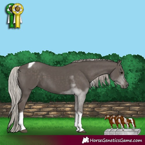 Horse Color:Silver Black Tobiano 