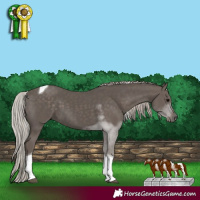 Horse Color:Silver Black Tobiano 