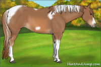 Horse Color:Chestnut Tobiano Frame 