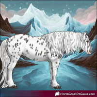 Horse Color:Silver Black Tobiano Appaloosa 