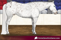 Horse Color:Silver Black Splash Tobiano Snowflake Varnish