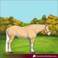 Horse Color:Palomino Tobiano 