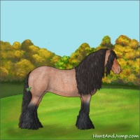 Horse Color:Bay Roan Sabino Rabicano  and Bay Roan Sabino Varnish 