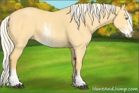 Horse Color:Palomino Dun Sabino