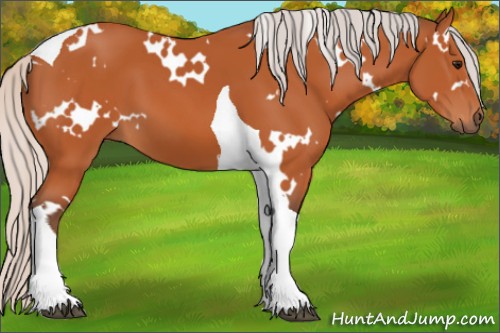 Horse Color:White Spotted Silver Bay Tobiano 