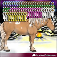 Horse Color:White Spotted Palomino 