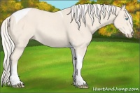 Horse Color:Cremello Tobiano
