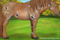 Horse Color:ERROR: UNKNOWN ANOMALY