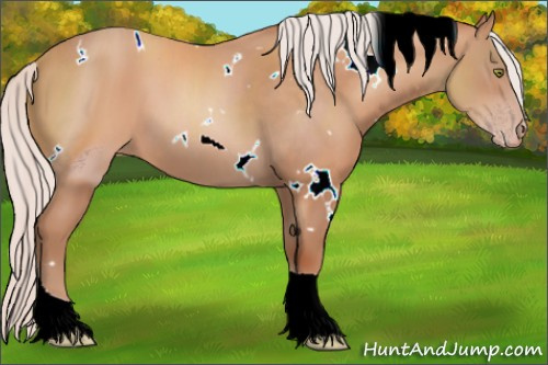 Horse Color:ERROR: UNKNOWN ANOMALY