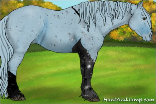 Horse Color:ERROR: UNKNOWN ANOMALY