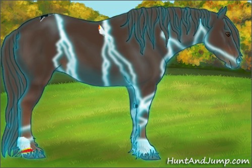 Horse Color:Thunderstruck Liver Chestnut Tobiano 