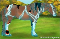 Horse Color:Thunderstruck Chestnut Tobiano 