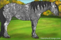 Horse Color:Black Ice 