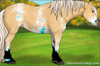 Horse Color:White Spotted Palomino