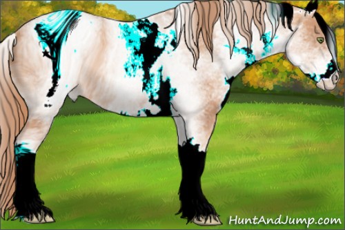 Horse Color:ERROR: UNKNOWN ANOMALY