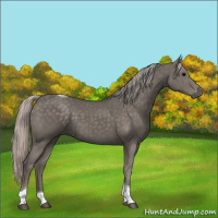 Horse Color:Silver Black Tobiano 