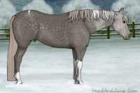 Horse Color:Silver Black Tobiano 