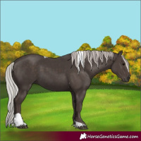 Horse Color:Silver Black Tobiano 