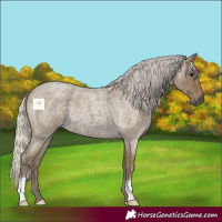 Horse Color:Silver Smoky Blue Roan 