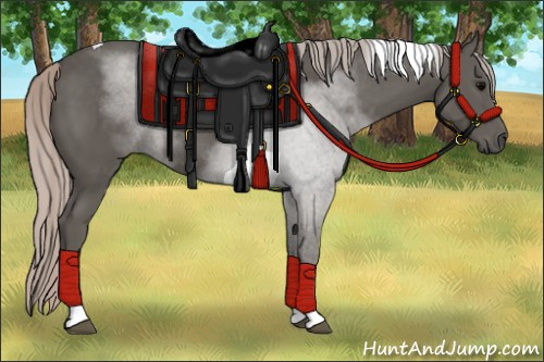 Horse Color:Silver Black Tobiano 