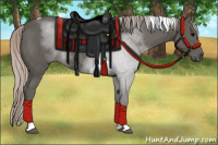 Horse Color:Silver Black Tobiano