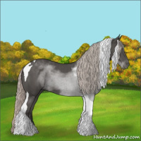 Horse Color:Silver Black Tobiano