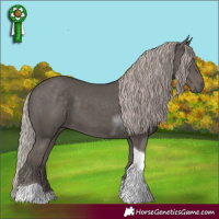 Horse Color:Silver Black Tobiano 