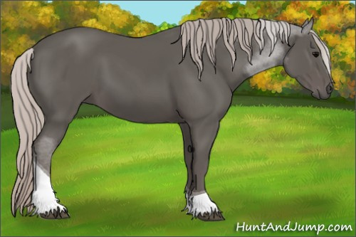 Horse Color:Silver Black Tobiano