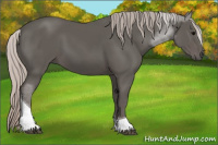 Horse Color:Silver Black Tobiano