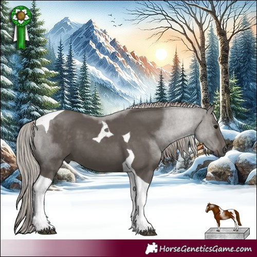 Horse Color:Silver Black Tobiano 