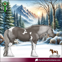 Horse Color:Silver Black Tobiano