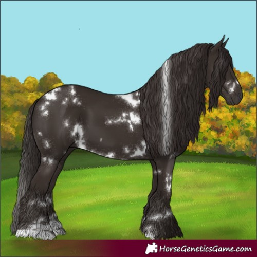 Horse Color:White Spotted Liver Chestnut 