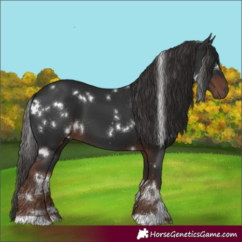Horse Color:White Spotted Liver Chestnut 