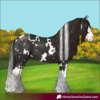 Horse Color:White Spotted Liver Chestnut Splash 