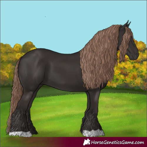 Horse Color:Liver Chestnut 