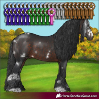 Horse Color:White Spotted Brown 