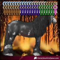 Horse Color:White Spotted Brown