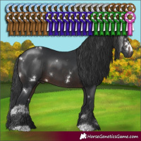 Horse Color:White Spotted Brown 