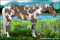 Horse Color:White Spotted Silver Black 