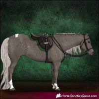Horse Color:Silver Black Tobiano 