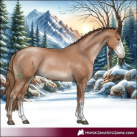 Horse Color:Black Pearl Sabino