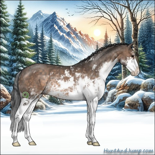 Horse Color:Brown Dun Sabino