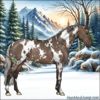 Horse Color:White Spotted Silver Brown Dun 