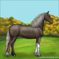 Horse Color:Silver Smoky Black Tobiano 