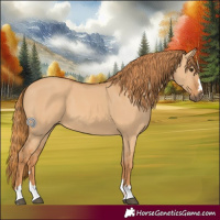 Horse Color:Red Dun 