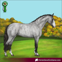 Horse Color:Liver Red Roan Sabino 