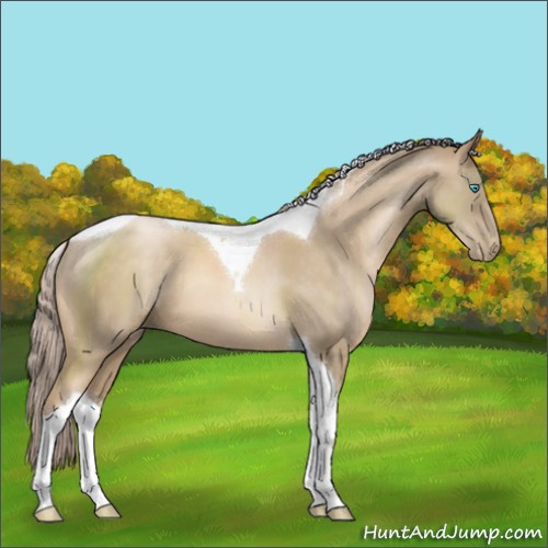 Horse Color:Chocolate Palomino Pearl Sabino Tobiano