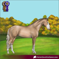 Horse Color:Chocolate Palomino Pearl Sabino