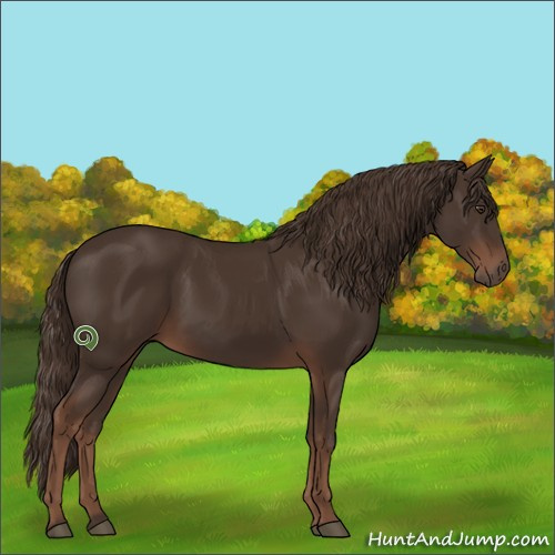Horse Color:Liver Chestnut 