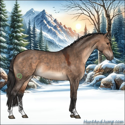 Horse Color:Brown Dun Sabino